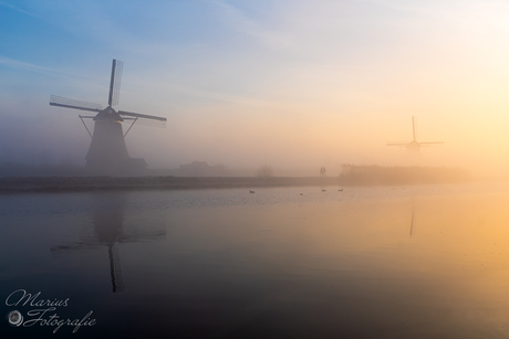 Nevelig Kinderdijk