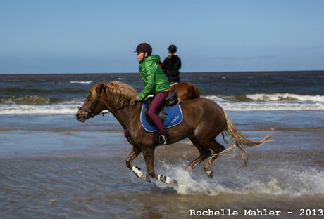 Paarden op het strand van Wijk aan Zee