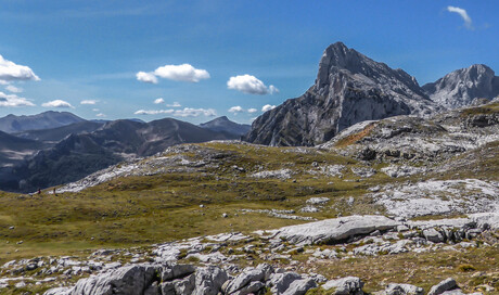 Picos de Europa