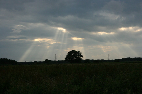 zonnestralen