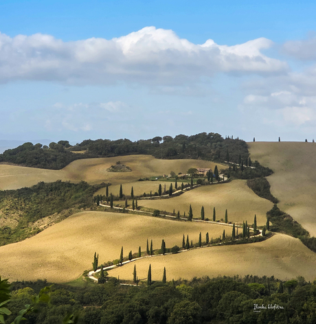 Toscane