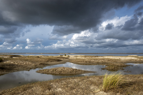 Noordzeestrand