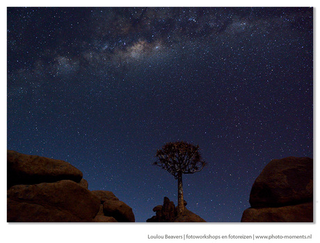 Milky way at Giants playground