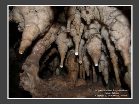 Druppelende stalagmieten