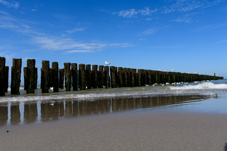 Paalhoofden Zeeland