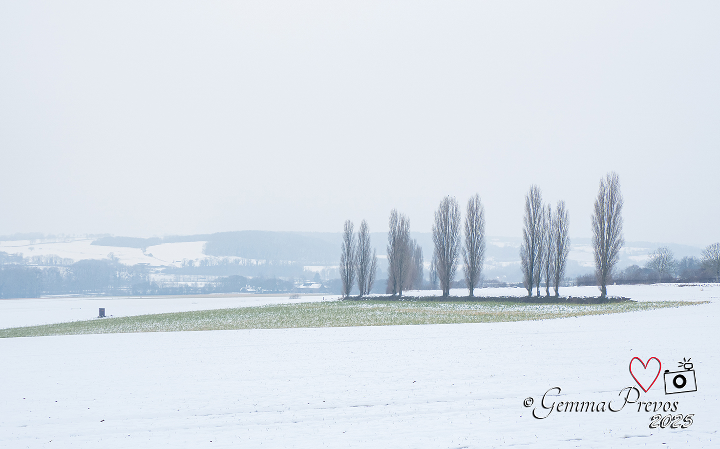 Toscane in Zuid-Limburg - panorama - foto door gemmaP op 15-01-2025 - locatie: Eys, Nederland - deze foto bevat: winter, sneeuw, panorama, heuvels, olympus imaging corp., e-m5markii, olympus m.12-200mm f3.5-6.3, iso 250, diafragma ƒ/8, sluitertijd 1/200s, brandpuntafstand 34mm, winter, sneeuw, atmosferisch fenomeen, bevriezen, takje, vorst, neerslag, ijs, groenblijvend, coniferen