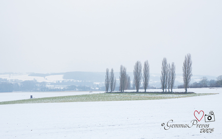 Toscane in Zuid-Limburg - panorama - foto door gemmaP op 15-01-2025 - locatie: Eys, Nederland - deze foto bevat: winter, sneeuw, panorama, heuvels, olympus imaging corp., e-m5markii, olympus m.12-200mm f3.5-6.3, iso 250, diafragma ƒ/8, sluitertijd 1/200s, brandpuntafstand 34mm, winter, sneeuw, atmosferisch fenomeen, bevriezen, takje, vorst, neerslag, ijs, groenblijvend, coniferen