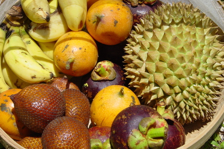 Tropisch fruit
