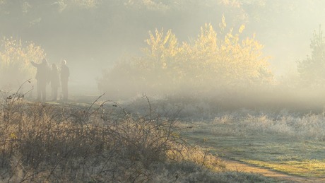 In de vroege ochtend.