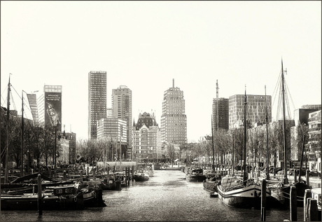 Rotterdam