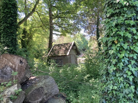 Het boshuisje 