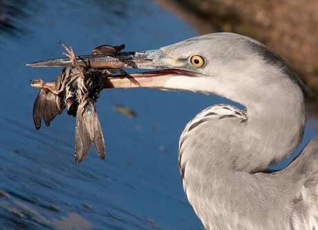 even iets anders eten