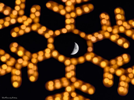 Maan tussen sneeuwvlokledjes