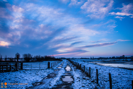 Winter in de IJsseldelta