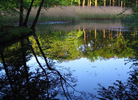 Een mooie voorjaarsavond