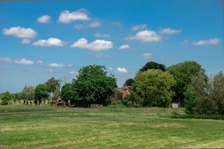 een stukje natuur van de broekpolder