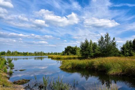 Nationaal park ''de Groote Peel''