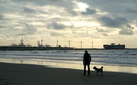 Zonsondergang Hoek van Holland