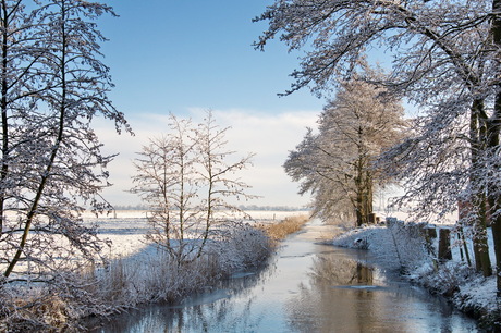 Beetje winter