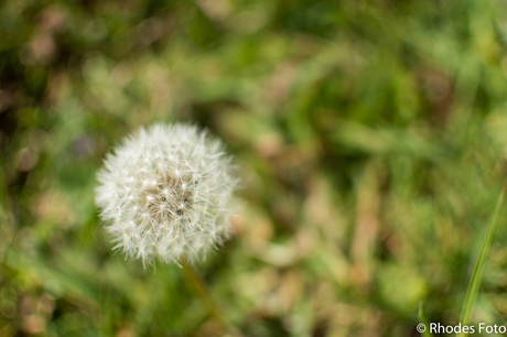 Spring is in the air!