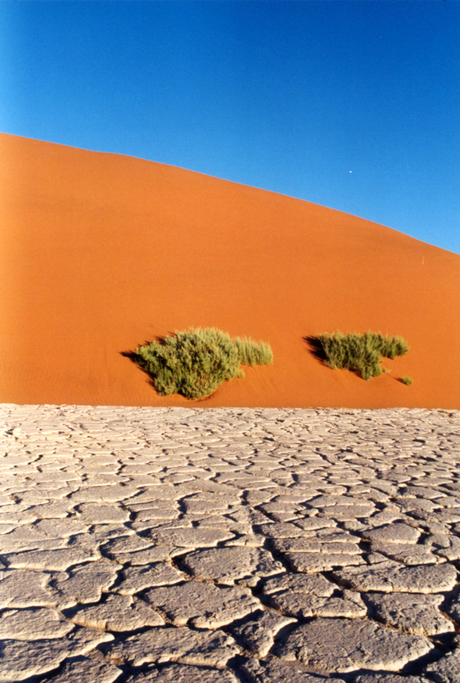 Namib Desert