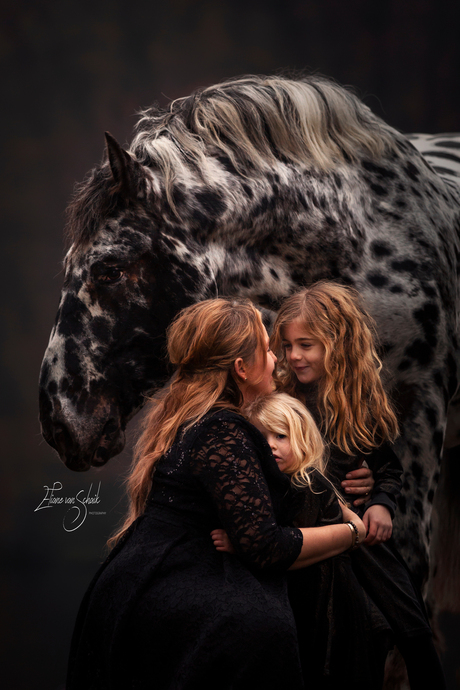 Family love