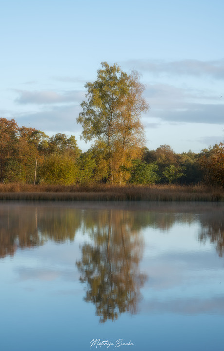 Herfst Berk