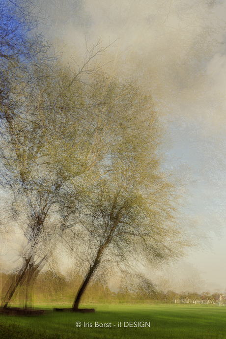 Multiple exposure Amelisweerd