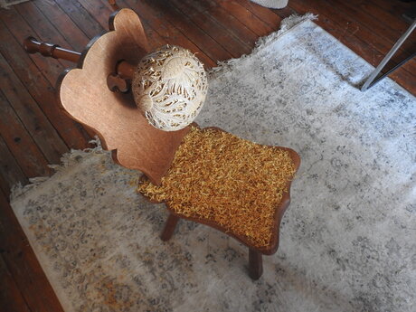 Leerstoel 'Lucanus Cervus' Nijmegen 2026