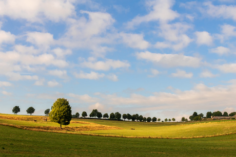 Zonnig landschap