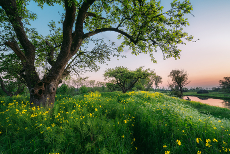Kleurrijke ochtend op het werk aan de Groeneweg