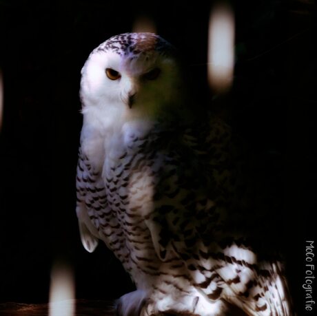 Wat een knapperd ❤️