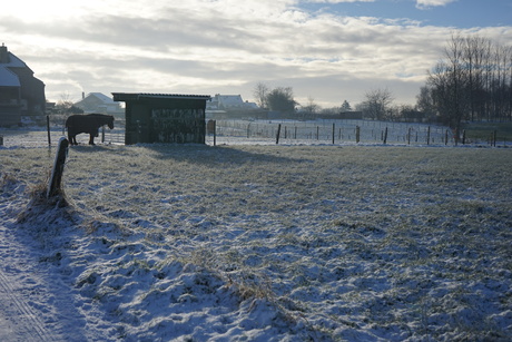 natuur wandeling