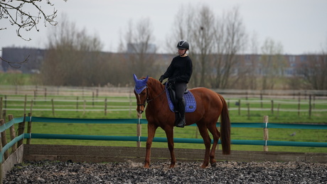 lenstest |Sigma 70-200 | F2.8