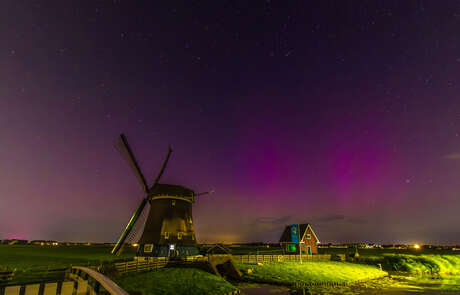 Noorderlicht met perseïden