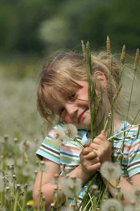 Blaasbloemen