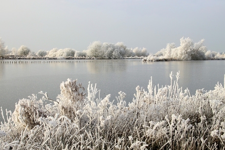 Witte wereld