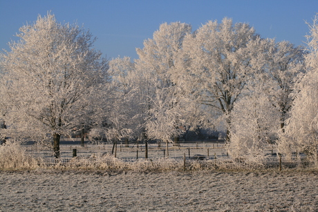 Winter 2007