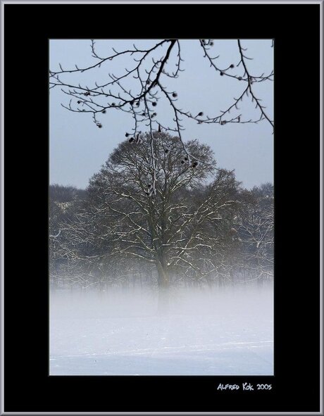 Mist sneeuw en zon