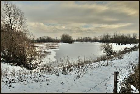 IJzig mooie natuur🥶