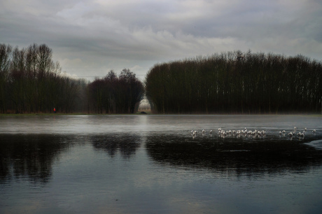 Kerkpolder