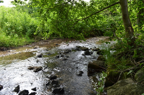 De mooie natuur