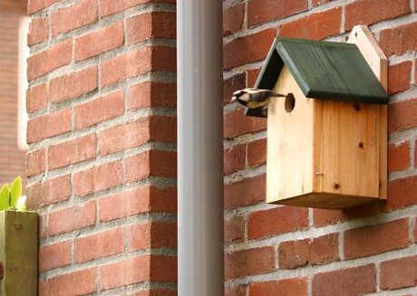 Snel weer iets te eten halen voor de kleintjes.