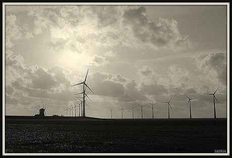 Reus Goliath is nu mini Goliath...