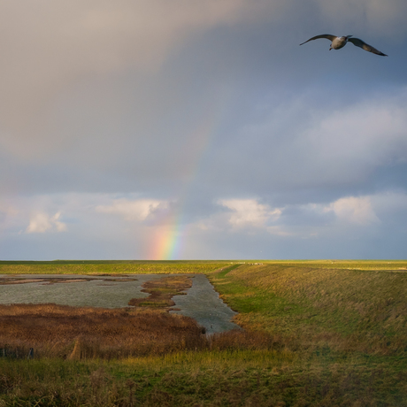 Bon Voyage to the Rainbow