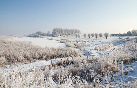 Winter in Moerdijk