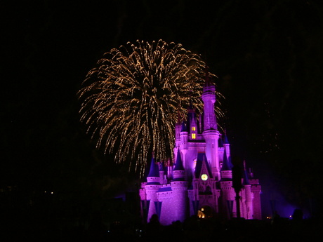 Vuurwerk Disney World