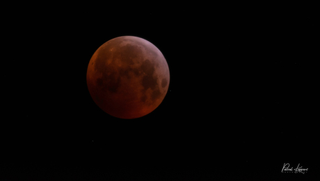 190121 - totale maansverduistering (3. Natuur) - 0144