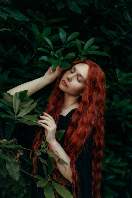 Forest nymph