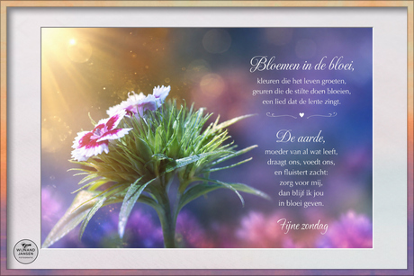 Growth and in bloom